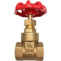 Robinson Tech International New Jersey THEWORKS® LF Heavy Pattern Brass Gate Valve - 1 IPS LFBV146